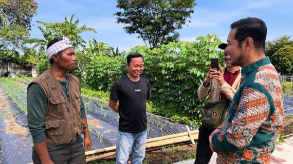 Potensi Besar Pertanian Organik di Bogor Selatan, Dedi Mulyono dorong kebijakan insentif untuk petani
